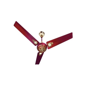 VISION Royal Ceiling Fan 56'' (Maroon) Brand: VISION