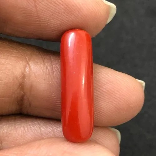 red coral stone Price for per carrat