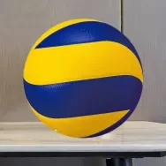 Volleyball Synthetic Leather Ball Outdoor Indoor Beach Gym Size 5