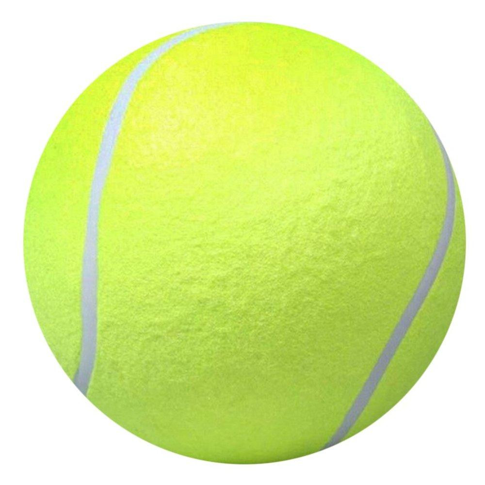 TE Funny Design 9.5 Inch Pets Dogs Play Toys Portable Outdoor Playing Tennis Ball