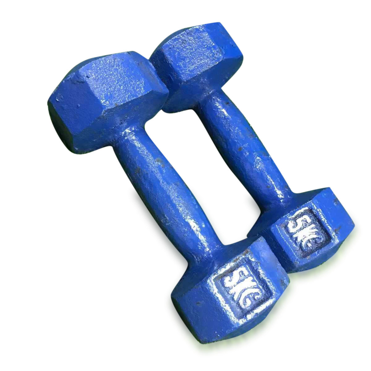 Dumbbell Set 10kg (5kg+5kg) - Blue