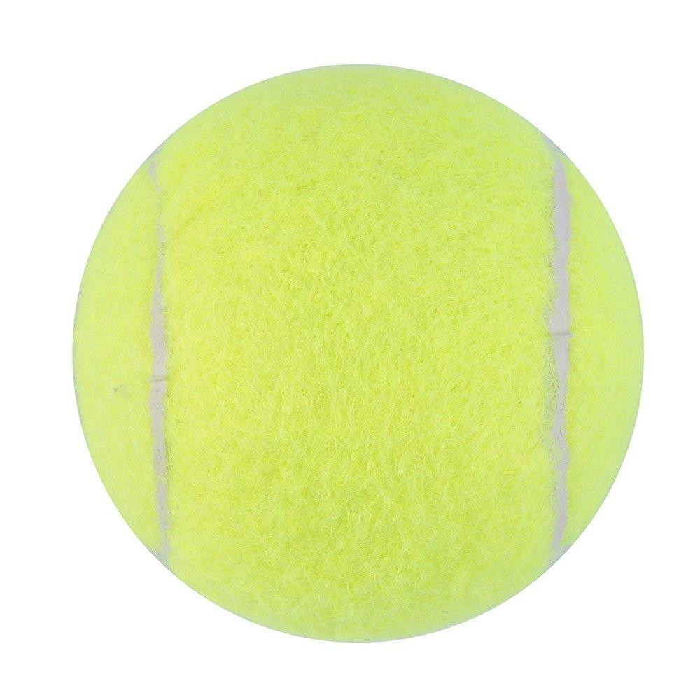 TE Tennis Ball Sports Tournament Outdoor Fun Cricket Beach Dog Activity Game Toy