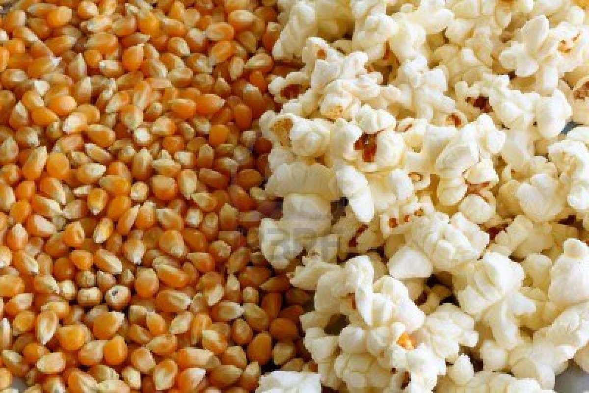 Pop Corn Bhutta (বিশেষ ভুট্টা)/ পপ কর্ণ- 500 gm