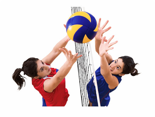 Deer Official Volleyball-Size 5-Multi Color