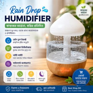Cloud Rain Humidifier
